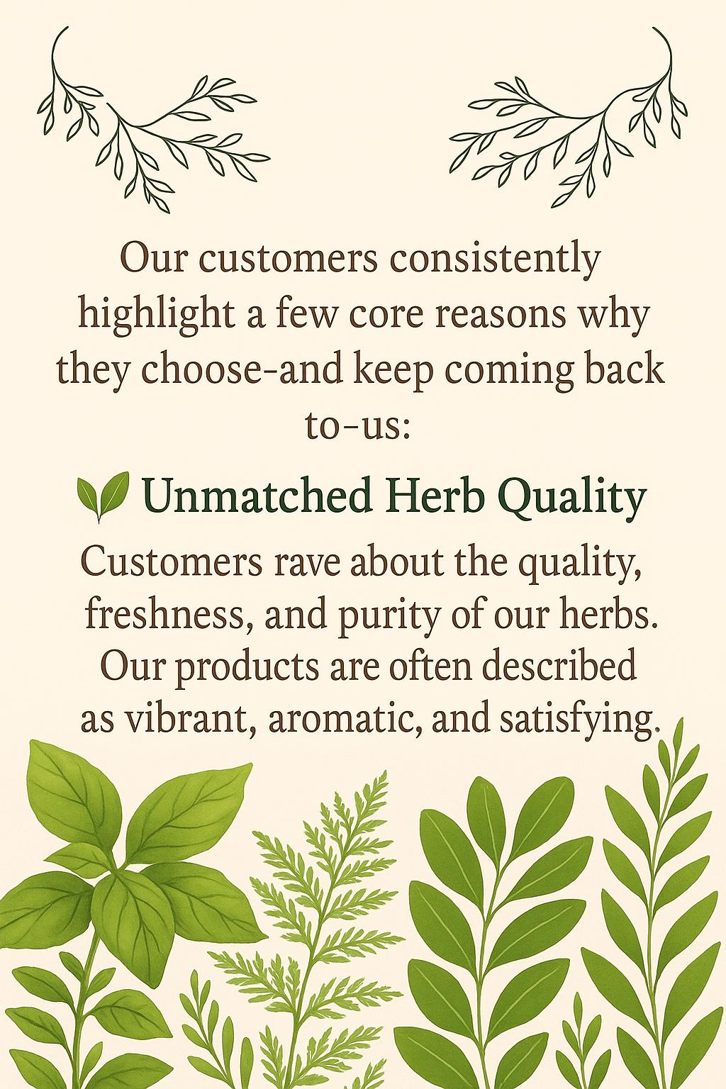 NOCE NERO D'AMERICA – Juglans Nigra - Foto 14