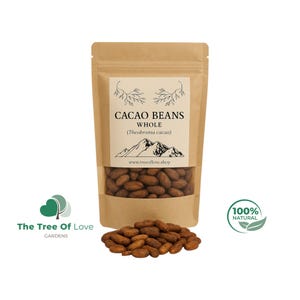 Cacao Beans Whole | Criollo |  Theobroma Cacao | Cocoa Beans |  Premium Quality | Dried Herbs | Herbal Tea | Herbal Products | Bulk Herb