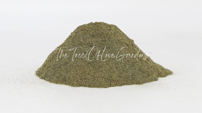 Stinging Nettle Leaf | Tea | Utrica Dioica | Dried Herbs | Herbal Infusion by The Tree Of Love Gardens image 10