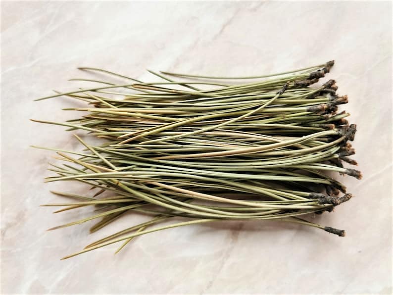 Organic Pine Needle Tea Fresh Pine Needles For Tea Dried Pine Needles Tea Pine Needle Tea Pine Needles Organic Pine Tea image 7