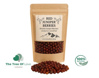 Bagas de zimbro espinhoso / Bagas de zimbro / Bagas de zimbro vermelho | Juniperus Oxycedrus, árvore de zimbro, colhidas à mão | Infusão de ervas