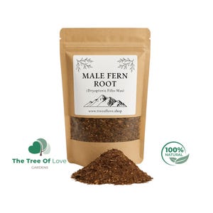 Male Fern Root | Dryopteris Filix Mas