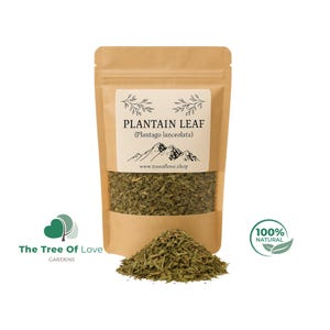 Plantain Leaf | Plantago Lancoelata | Tea | Leaves |  Natural | Dried Herbs | Botanical | Natural | Herbal Remedy