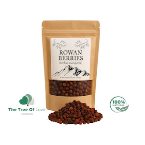 Dried Rowan berries  1lb 2 lbs 3 lbs 4 lbs Rowan Whole Dried Berries Mountain Ash- Sorbus Aucuparia/ Naturally Dried | Red rowan