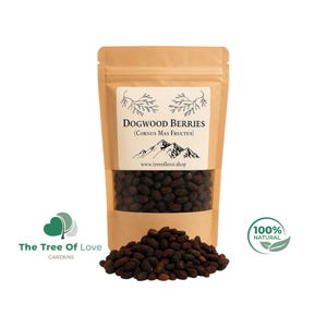 Bayas de cornejo / Cereza de cornejo / Silvestre / Cornus mas Fructus / Hierbas secas / Té de hierbas / Productos herbales / Hierbas a granel