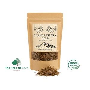 Chanca Piedra / Phyllanthus niruri / Erba / Tè / Erbe essiccate / Tisana / Prodotti erboristici / Erbe sfuse / Infuso di erbe