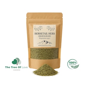 Shavegrass Herb | Horsetail Herb | Horsetail Tea | Equisetum Arvense Herb |  Dried Herbal Tea 100% Pure | Herbal Remedy