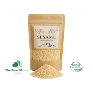 Sesame Seed | Sesame Seed | Seasame Seeds | Whole (Sesamum indicum) | White Sesame Cullinary Herb | Sesame Seed Seasoning | | Herbal Remedy