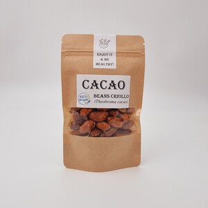 Cacao Beans Whole Criollo Organic Theobroma Cacao Cocoa Beans Premium Quality image 3