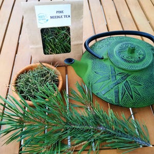Pine Needle Tea | Pine Needle Tea |  Fresh Pine Needles for Tea | Dried Pine Needle Tea | White Pine Needles | Herbal Remedy