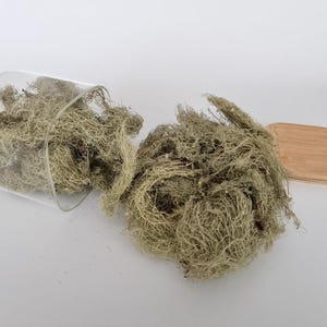 Usnea Lichen | Usnea barbata | Whole | Wild Crafted Old Man's Beard | Infusion | Herbal Tea by The Tree Of Love Gardens image 3