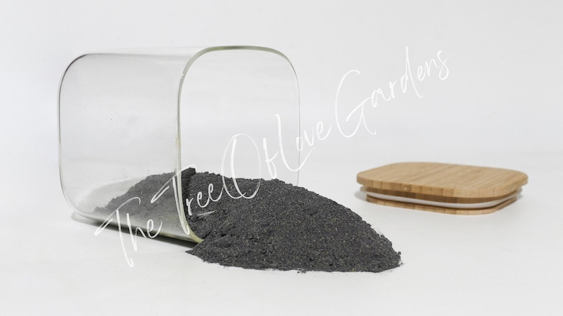Butterfly Pea Flower or Powder | Tea | Clitoria Ternatea | Dried Herbs | Herbal Infusion by The Tree Of Love Gardens Powder