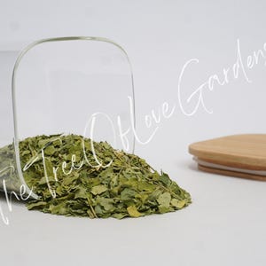 Moringa Leaf Powder or Cuts | Dried Herbs | Bulk Herb | Herbal Tea by The Tree Of Love Gardens image 8