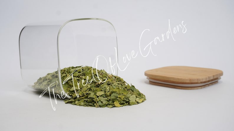 Moringa Leaf Powder or Cuts | Dried Herbs | Bulk Herb | Herbal Tea by The Tree Of Love Gardens image 8