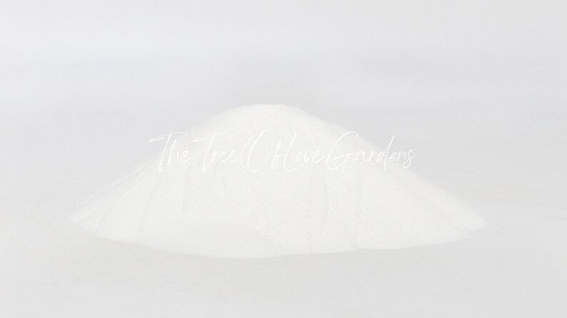 Pó de Inulina de Chicória | Pó de Inulina | Inulina, Açúcar Natural da Chicória | Ervas Secas | Chá de Ervas | Produtos à Base de Ervas | Ervas a Granel imagem 6