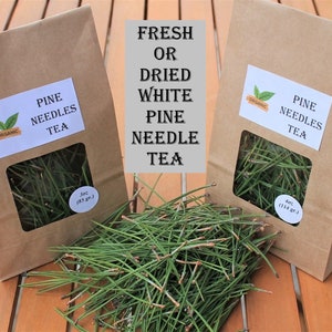 Organic Pine Needle Tea Fresh Pine Needles For Tea Dried Pine Needles Tea Pine Needle Tea Pine Needles Organic Pine Tea image 1