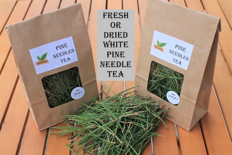 Organic Pine Needle Tea Fresh Pine Needles For Tea Dried Pine Needles Tea Pine Needle Tea Pine Needles Organic Pine Tea image 1