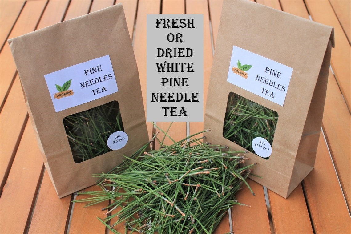Organic White Pine Needle Tea Fresh Pine Needles for Tea Etsy Canada