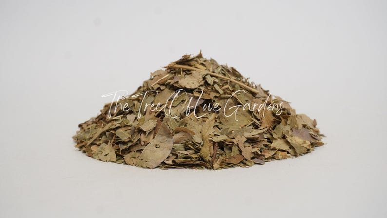 Ash Leaf | European Ash Leaf | Fraxinus Excelsior | Dried Herbs ...
