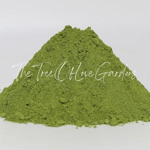 Moringa Leaf Powder or Cuts | Dried Herbs | Bulk Herb | Herbal Tea by The Tree Of Love Gardens image 9