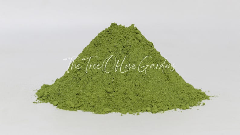 Moringa Leaf Powder or Cuts | Dried Herbs | Bulk Herb | Herbal Tea by The Tree Of Love Gardens image 9