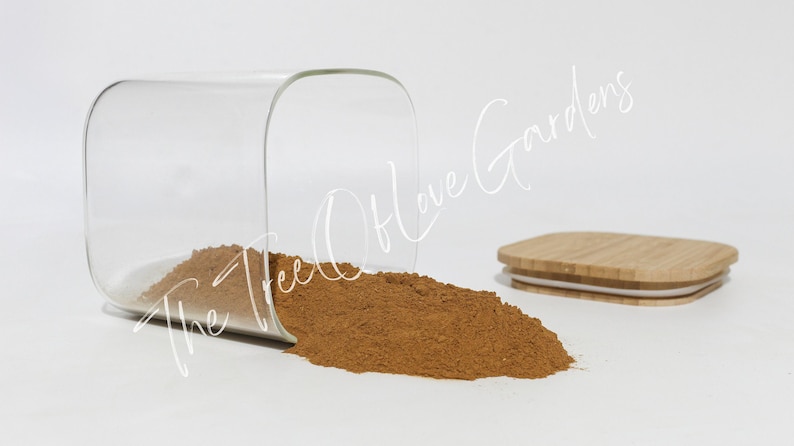 Ceylon-kaneelpoeder | Cinnamomum zeylanicum | Gedroogde kruiden | Kruidenthee | | Kruideninfusie van The Tree Of Love Gardens afbeelding 4