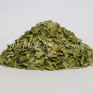 Moringa Leaf Powder or Cuts | Dried Herbs | Bulk Herb | Herbal Tea by The Tree Of Love Gardens image 7