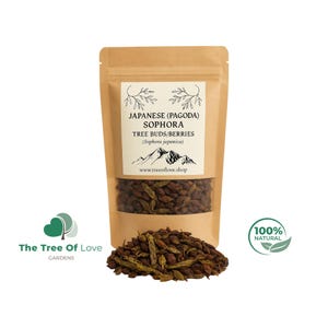 Japanese Pagoda Tree Berries | Sophora Japonica | Pagoda Tree Berries |  Huai Hua Mi | Sophora Berries | Herbal Remedy