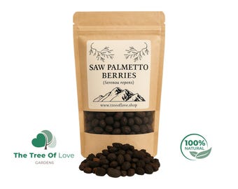 Sägepalmbeeren | Sägepalme Beere | Serenoa repens | Ganze | Schnitte | Puder | Getrocknete Kräuter | Kräutertee | Pflanzliche Produkte | Großer Kraut
