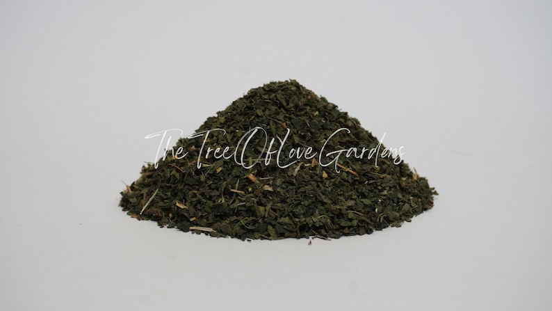 Stinging Nettle Leaf | Tea | Utrica Dioica | Dried Herbs | Herbal Infusion by The Tree Of Love Gardens image 8