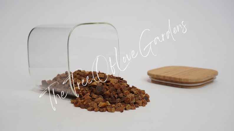 Red Panax Ginseng Root | 6+ years old | Dried Herbs | Herb Tea | Herbal Infusion by The Tree Of Love Gardens image 3