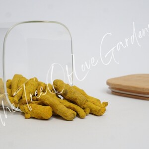 Turmeric Root | Whole | Curcuma Longa | Dried Herbs | Herbal Tea | Herbal Products | Bulk Herb | Herbal Infusion image 3
