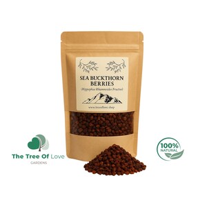 SEA BUCKTHORN Berries |  Hippophae Rhamnoides | Dried Herbs | Herbal Tea | Herbal Products | Bulk Herb | Herbal Remedy