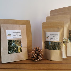 Organic Pine Needle Tea Fresh Pine Needles For Tea Dried Pine Needles Tea Pine Needle Tea Pine Needles Organic Pine Tea image 2