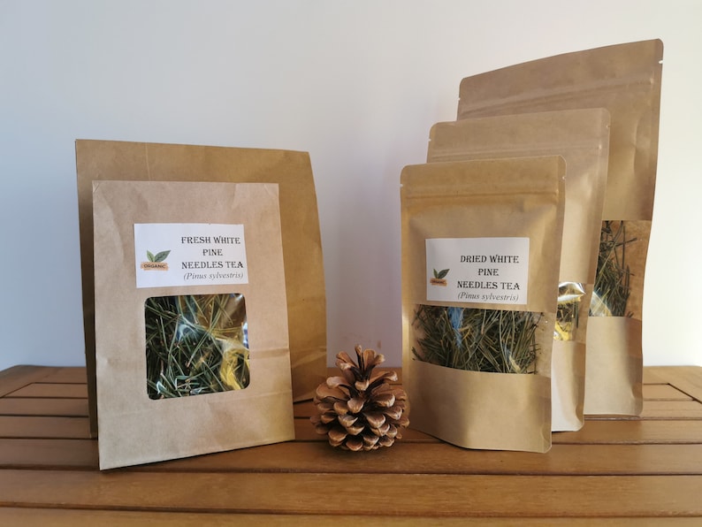 Organic Pine Needle Tea Fresh Pine Needles For Tea Dried Pine Needles Tea Pine Needle Tea Pine Needles Organic Pine Tea image 2