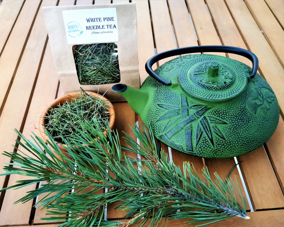 White Pine Needles for Tea Fresh Pine Needle Tea Premium Eastern White Pine Needle Tea, Fresh