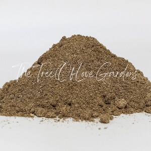 Dandelion Root | Tea | Taraxacum officinale | Natural Herbs | Herbal Infusion by The Tree Of Love Gardens image 6