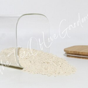 Garlic Powder | Dried Herbs | Herbal Tea | Herbal Products | Bulk Herb | Herbal Infusion image 2