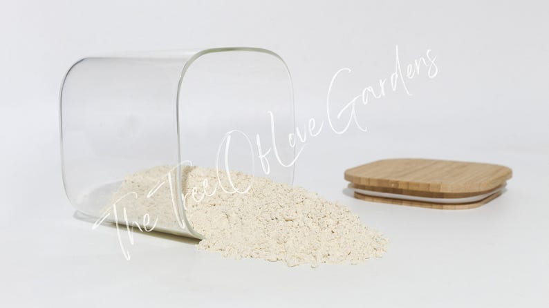 Garlic Powder | Dried Herbs | Herbal Tea | Herbal Products | Bulk Herb | Herbal Infusion image 2