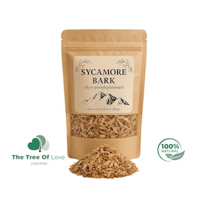 Sycamore  Bark | Acer Pseudoplatanus | Tea | Herb | Better Than Organic - Wildcrafted | Wild Harvested | Wild crafted | Herbal Remedy