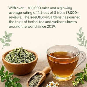 Lemon Verbena Leaf | Aloysia citriodora | Dried Herbs | Herbal Tea | Herbal Products | Bulk Herb | Herbal Infusion image 4