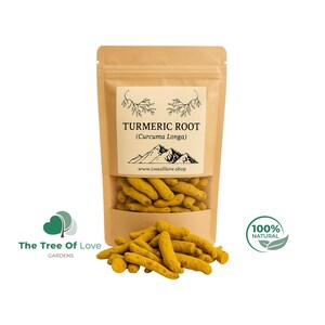 Turmeric Root | Whole | Curcuma Longa | Dried Herbs | Herbal Tea | Herbal Products | Bulk Herb | Herbal Infusion Whole