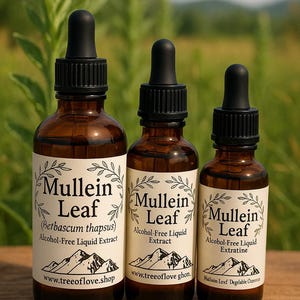 Mullein Leaf Glycerite | Mullein Leaf Alcohol Free Extract | Tincture | Mullein Leaf Liquid Extract | Herbal Remedy