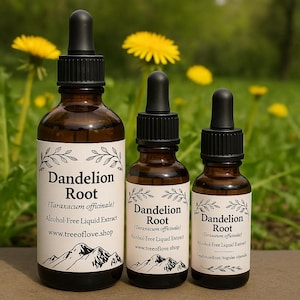 Dandelion Root Glycerite | Dandelion Root Alcohol Free Extract | Tincture | Dandelion Root Liquid Extract | Herbal Remedy