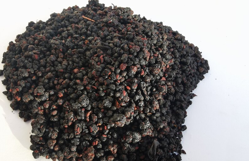 Elderberries Dried Elderberry Bulk 1 Lb 100 Organic Elder Etsy