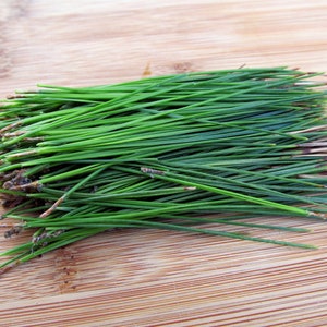 Organic Pine Needle Tea Fresh Pine Needles For Tea Dried Pine Needles Tea Pine Needle Tea Pine Needles Organic Pine Tea image 5