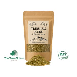 Tribulus Terrestris | Caltrop | Gokshura | Puncture Vine | Tribulus creeping | Churna | Herbal Remedy