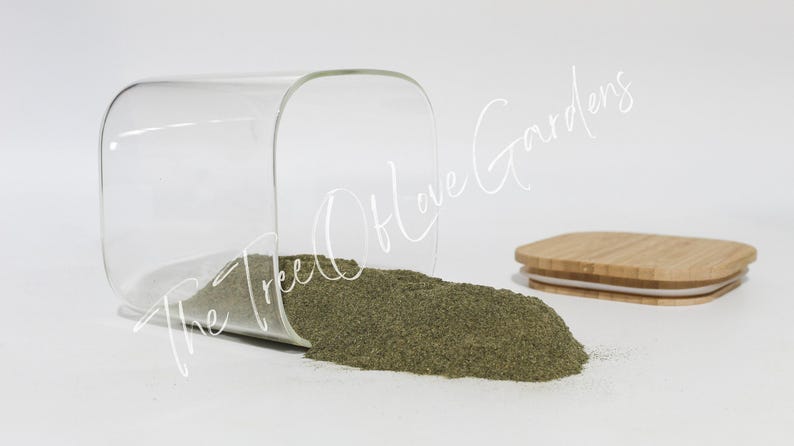Stinging Nettle Leaf | Tea | Utrica Dioica | Dried Herbs | Herbal Infusion by The Tree Of Love Gardens Powder