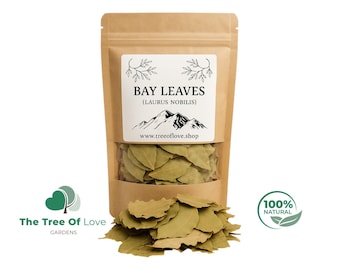 Premium Photo | Dried Whole Bay Leaves On Cutting Board Laurus Nobilis - View #3