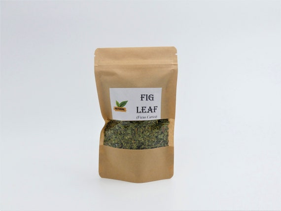 фикус фолиа фикус фолиа